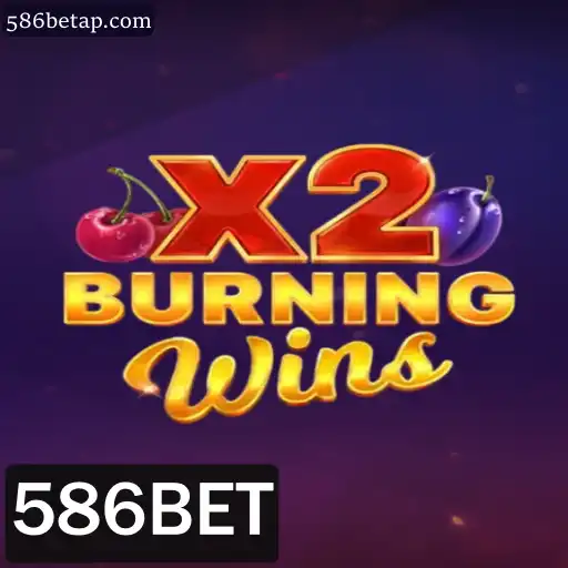 Tudo o que você Precisa Saber sobre o Jogo Burning Wins X2 em 586BET