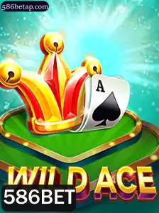 Descubra o Mundo Empolgante de WildAce: O Jogo Revolucionário da 586BET