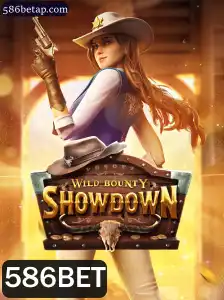 Ação e Estratégia em WildBountyShowdown: Um Panorama Completo